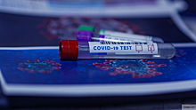 Петербуржцы смогут сдавать экспресс-тесты на коронавирус в больницах