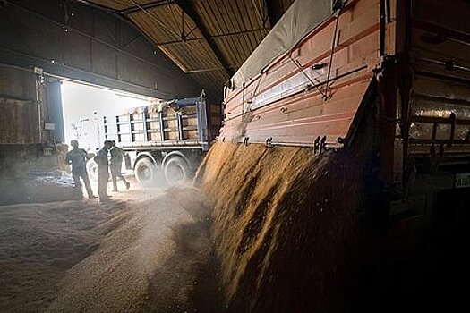 Российские экспортеры зерна столкнулись с проблемой