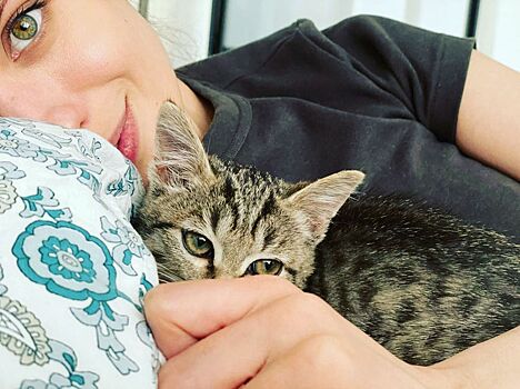 Чиповская, Лазарев и другие артисты признались в любви к своим питомцам