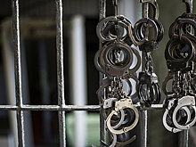 За какие мемы и репосты вас могут посадить в России. Известные случаи