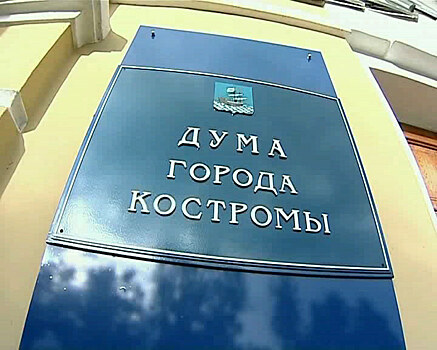 Костромские депутаты заказали себе эмблем на 60 тысяч рублей