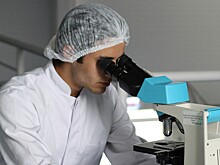 Какие праздники отмечают восьмого февраля