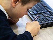 Еще в одном российском регионе опровергли сообщения о нападениях на школы