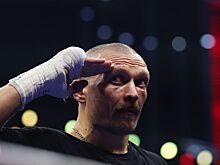 Ковалёв: Усик выбирает таких боксёров, с которыми можно драться не напрягаясь