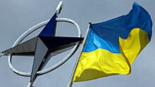 Политолог Елисеева рассказала, зачем члены НАТО говорят о вступлении Украины в альянс