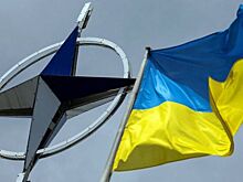 Политолог Елисеева рассказала, зачем члены НАТО говорят о вступлении Украины в альянс