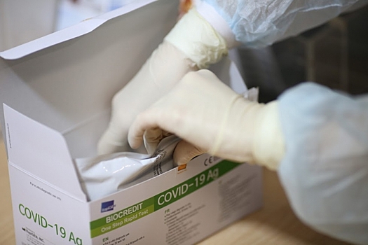 244 жителя Волгоградской области заболели коронавирусом за сутки