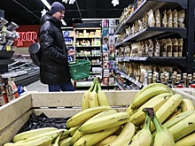 Производители бананов из Индии хотят занять прочное место на рынке России