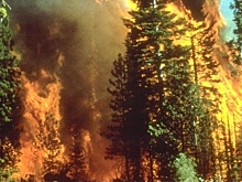 В Якутии действует ещё 46 лесных пожаров