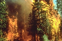 В Якутии действует ещё 46 лесных пожаров