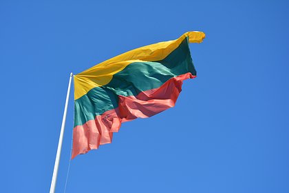 В Германии рассказали о безвыходном положении Литвы