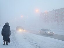 Эксперт оценил исследование о смертельной опасности зимы