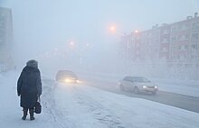 Эксперт оценил исследование о смертельной опасности зимы