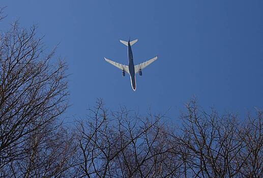 Пассажир поссорился с девушкой и открыл аварийную дверь самолета при рулении
