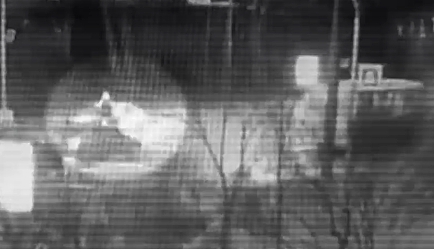 Погибшая в Санкт-Петербурге пара жила неподалёку от места аварии