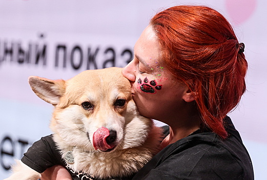 Бурматов призвал сделать бесплатным чипирование питомцев