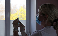 В России спрогнозировали активность гриппа до марта