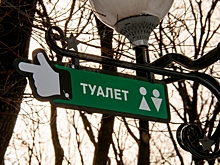 Петербургский депутат ответил, удастся ли сократить очереди в женские туалеты