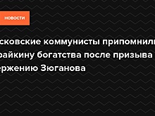 Московские коммунисты припомнили Сурайкину богатства после призыва к свержению Зюганова