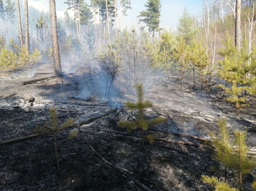 Лесные пожарные локализовали девять пожаров за текущие сутки в Забайкалье