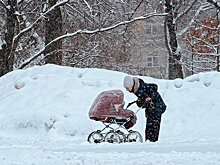 Законы о детях 2022 года: новый маткапитал и жилье