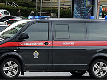 Ветеран СВО против подлога: Бастрыкина просят возбудить дело о подмене ребёнка