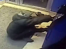 В Новосибирске мужчина пытался взломать банкомат, но не смог украсть деньги