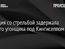 Полиция со стрельбой задержала пьяного угонщика под Кингисеппом
