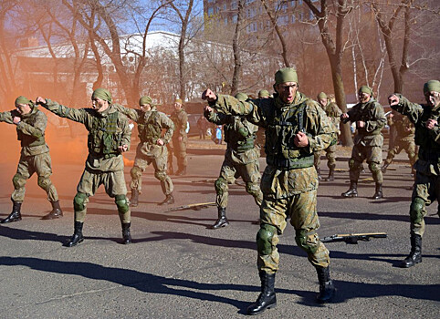 Семьям призывников дадут денег, но не всем