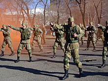 Семьям призывников дадут денег, но не всем