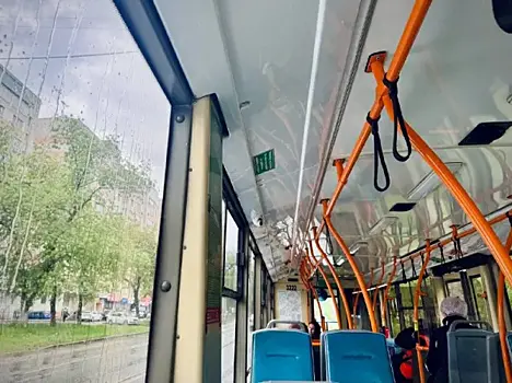 В Самаре из-за упавшего дерева встали троллейбусы