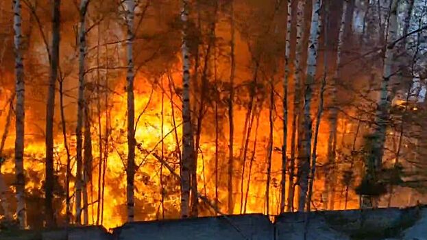 Видео бушующего огненного смерча в Курганской области показали в Сети