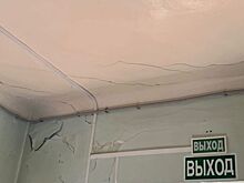 С начала года Ростовская областная ветлаборатория провела более 650 тыс. исследований