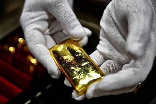 Россиянин вез золото на 100 миллионов рублей и попал под следствие