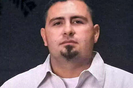 В США два питбуля растерзали своего хозяина