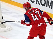 Нападающий «Локомотива» Александр Радулов оштрафован за плевок в судью