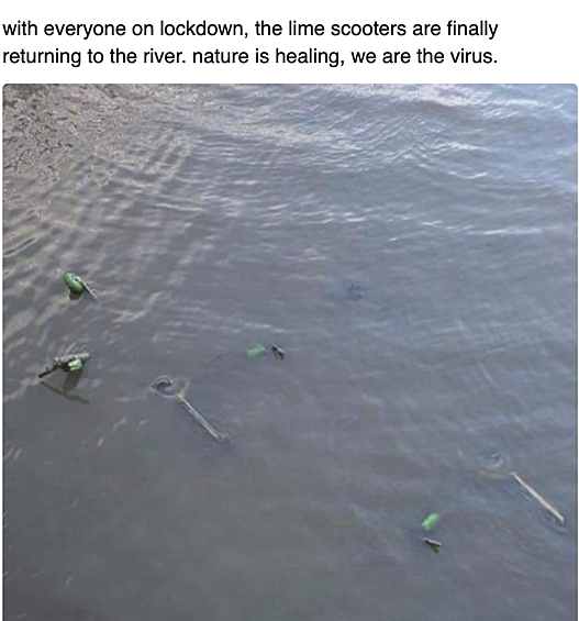  «С карантином электросамокаты вернулись в реку. Природа исцеляется. Вирус — это мы».