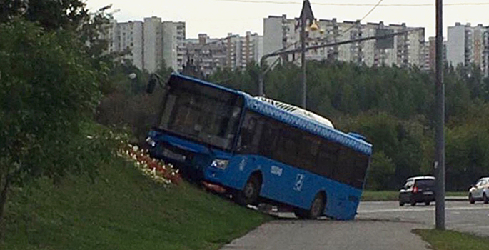 В Москве заметили «слишком любящий благоустройство» автобус
