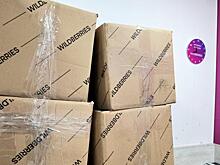 Символика нацистов и шпионские гаджеты: на Wildberries нашли запрещенку