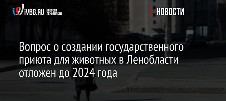 Вопрос о создании государственного приюта для животных в Ленобласти отложен до 2024 года