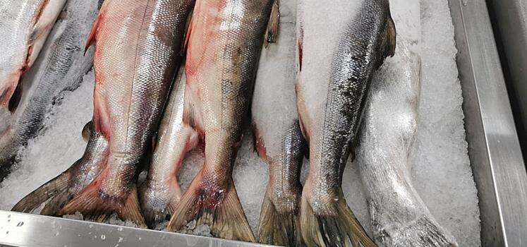 В Хабаровск скоро доставят партию свежей кеты по спеццене