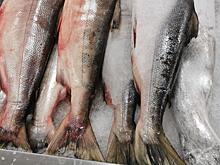 В Хабаровск скоро доставят партию свежей кеты по спеццене