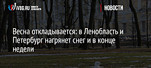 Весна откладывается: в Ленобласть и Петербург нагрянет снег и в конце недели