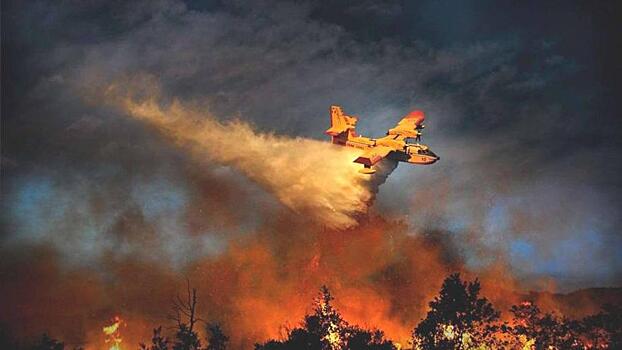 Авиация отправится тушить леса в Сибири