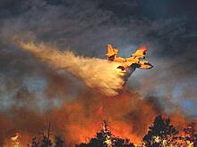 Авиация отправится тушить леса в Сибири