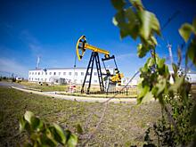 Цех добычи нефти и газа № 19 ООО «РН-Юганскнефтегаз» с момента основания добыл свыше 85 миллионов тонн нефти