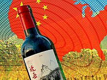 «Экзотика из Поднебесной»: сомелье рассказал, почему китайское вино не появится в России