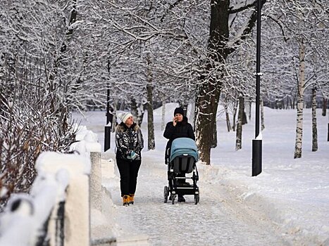 Синоптик рассказал о погоде в Москве в начале февраля
