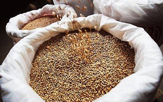 В Курской области полиция расследует хищение зерна