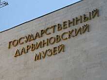 В Дарвиновском музее теперь можно подзарядить свое мобильное устройство